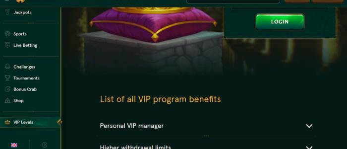 Casinia VIP (1)